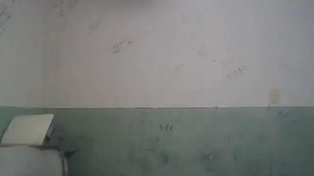 Toytroy197413 online show from 04.17.26