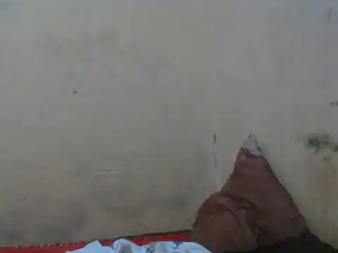 Rerpuss1 online show from 04.12.26