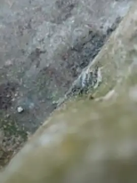 Couple69sexe online show from 04.22.26