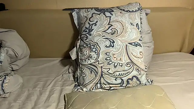 havedream online show from 07.26.26