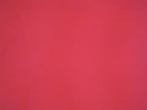 sara sofiamodel online show from 04.18.26