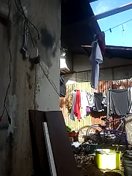 Ver-gudito online show from 04.25.26