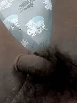 Peterhadly online show from 04.26.26