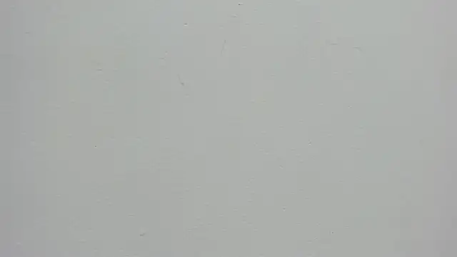 Daphne Leia online show from 05.08.26