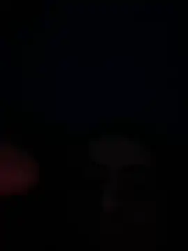 eu marko online show from 04.30.26