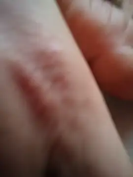 Hazel Nova online show from 06.12.26