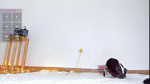 abilX online show from 01.24.25