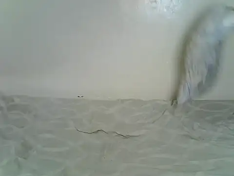 Sexxyfrey online show from 06.29.26
