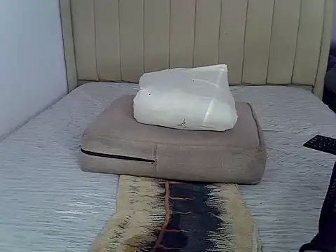 Snow icee online show from 06.03.26