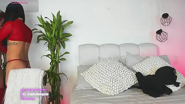 charlotteinpool online show from 06.23.26