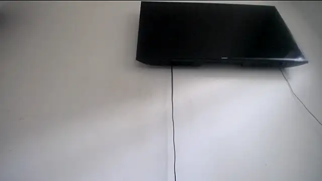 Fox Loves online show from 06.28.26