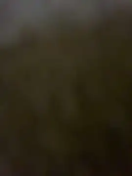 leoblazes online show from 06.19.26