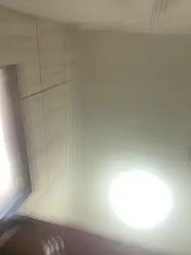 safada BRL online show from 05.31.26