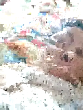 Orio-baby online show from 05.31.26