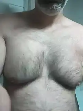 WienBearBi online show from 07.12.26