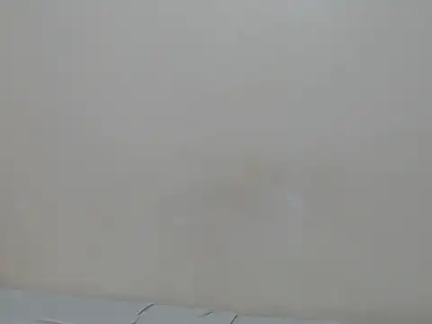 lewinne online show from 07.07.26
