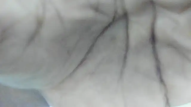 Snapshot of Philip_Cuellar chatting on 07.23.26 Philip Cuellar online show from 07.23.26