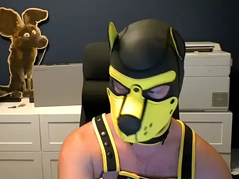 WildyLynx online show from 07.04.26