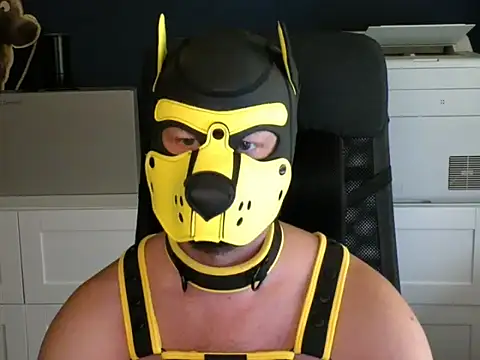 WildyLynx online show from 07.07.26