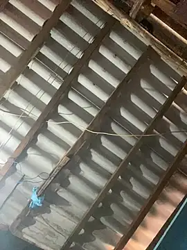 Snapshot of machosafado185 chatting on 07.15.26 machosafado185 online show from 07.15.26