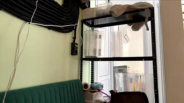 GingerEtsitty online show from 07.24.26