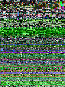 midog2026 online show from 08.01.26