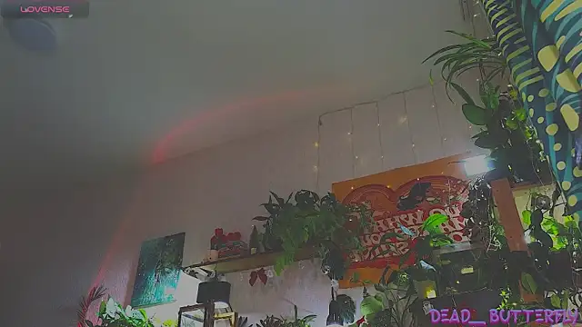 Dead Butterfly online show from 12.18.24