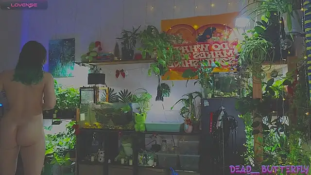 Dead Butterfly online show from 01.12.25