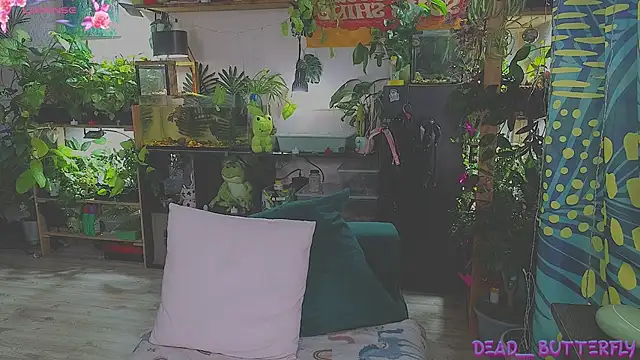 Dead Butterfly online show from 02.16.25