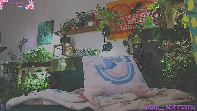 Dead Butterfly online show from 03.05.25