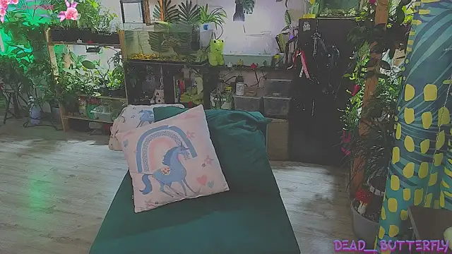 Dead Butterfly online show from 03.13.25