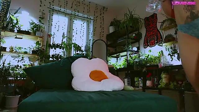 Dead Butterfly online show from 05.12.26