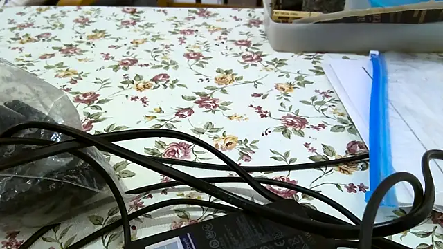 Snapshot of Bigjacky chatting on 09.09.25 Bigjacky online show from 09.09.25