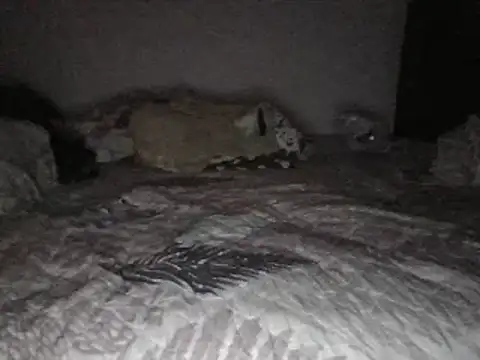 Snapshot of bscc chatting on 01.31.25 bscc online show from 01.31.25