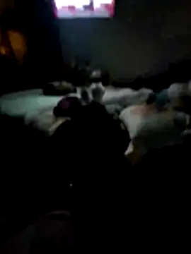 juliopantoja online show from 02.15.26