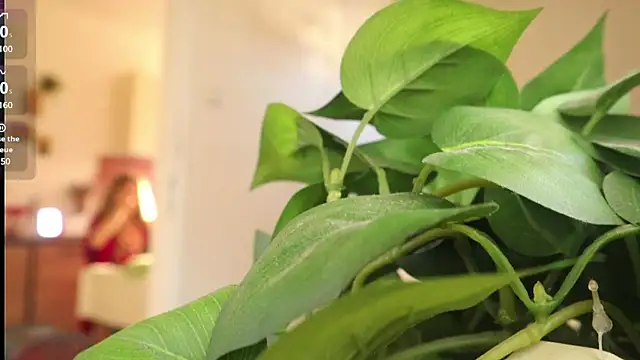 Snapshot of Kishaxxx chatting on 03.06.25 Kishaxxx online show from 03.06.25