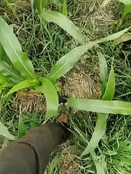 ThethunderPo online show from 03.15.26