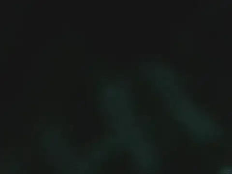 lonelycock33 online show from 11.15.25