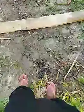 Snapshot of bigh96dik chatting on 01.14.25 bigh96dik online show from 01.14.25