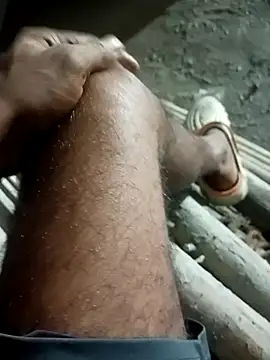 Bengali BULL1 online show from 09.30.25