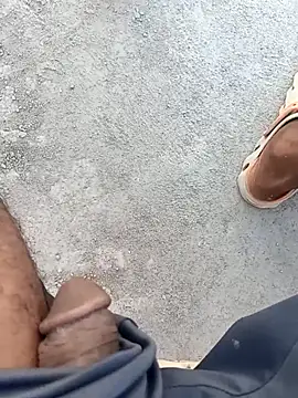 Bengali BULL1 online show from 10.01.25