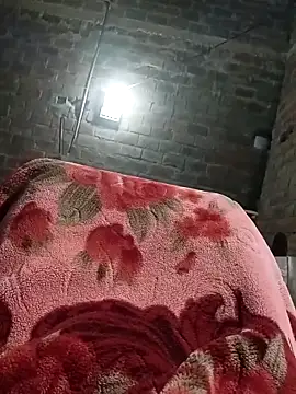 Bengali BULL1 online show from 10.08.25