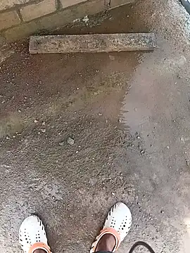 Bengali BULL1 online show from 10.10.25