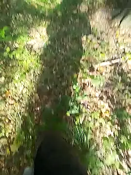 sarpe4 online show from 09.14.25