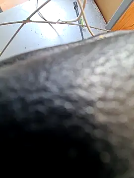 PetePro1989 online show from 04.08.26