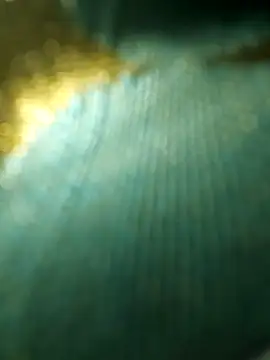 salonidesimaal online show from 12.04.24