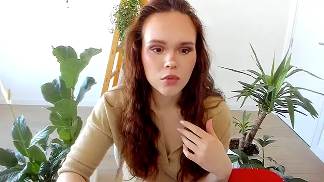 Pokemeboy online show from 01.31.25