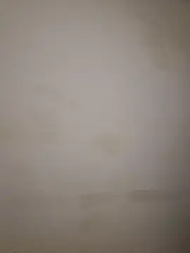 Snapshot of Adivaaa chatting on 10.16.25 Adivaaa online show from 10.16.25