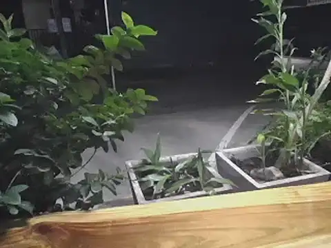 sara kimoo online show from 01.16.25