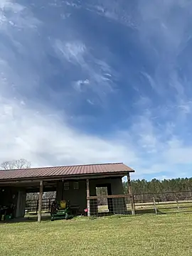 Sitonmyface2020xh online show from 03.03.25